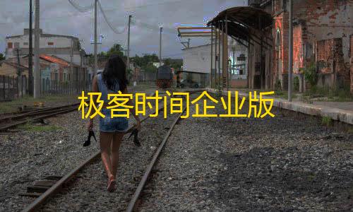 高能英雄科技辅助网站极客时间企业版