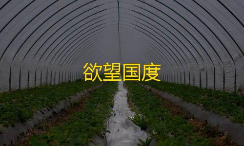 无畏契约雷达辅助欲望国度